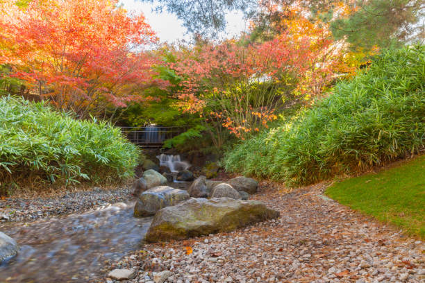 istock Foliage in the forest with waterfall and river 894507412