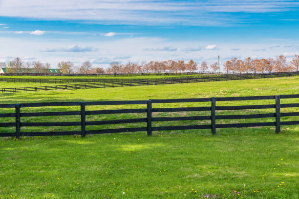 verdes pastos de las fincas de caballos. paisaje paisaje de primavera. - horse stall stable horse barn fotografías e imágenes de stock