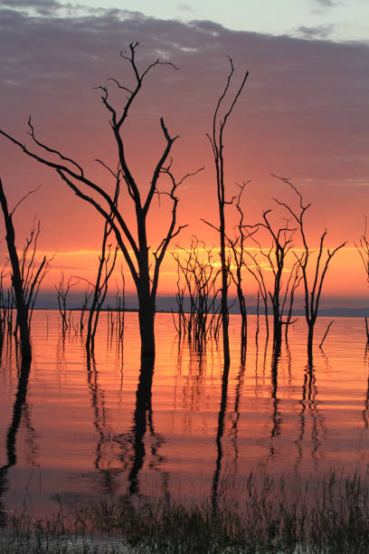 istock Amazing Sunset at Lake Kariba - Zimbabwe 894532908