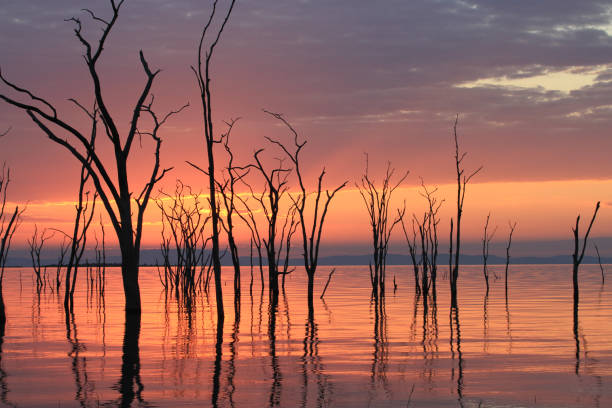istock Amazing Sunset at Lake Kariba - Zimbabwe 894532940