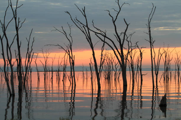 istock Amazing Sunset at Lake Kariba - Zimbabwe 894533030
