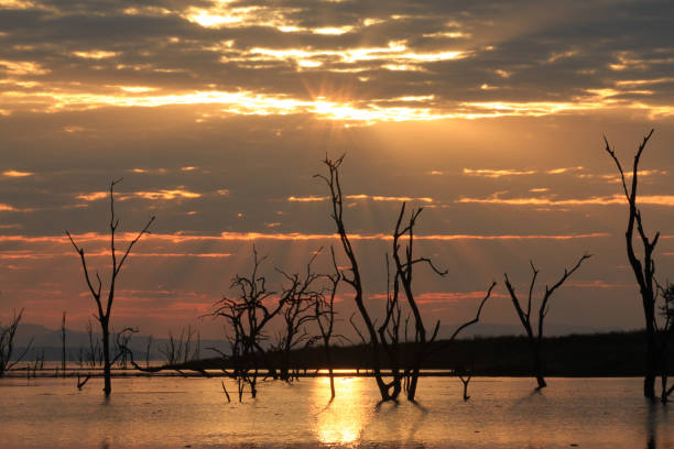 istock Amazing Sunset at Lake Kariba - Zimbabwe 894535984