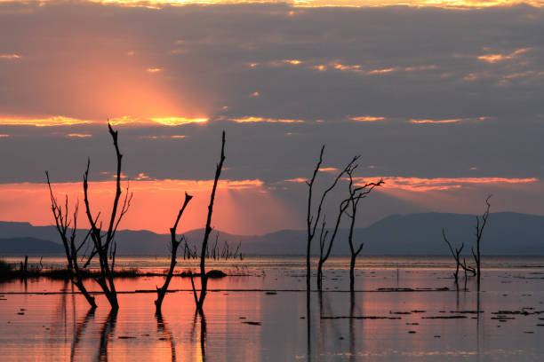 istock Amazing Sunset at Lake Kariba - Zimbabwe 894536082