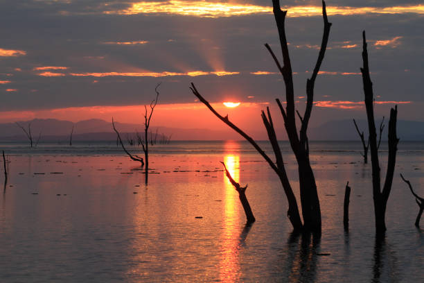 istock Amazing Sunset at Lake Kariba - Zimbabwe 894536162