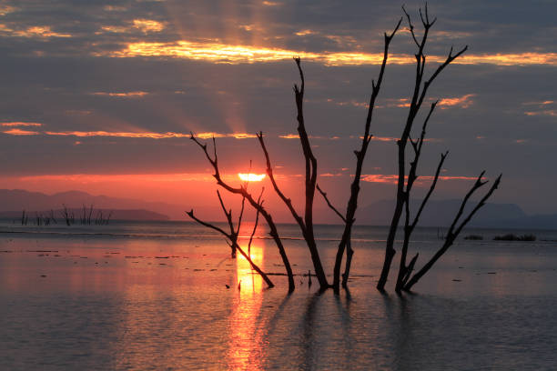 istock Amazing Sunset at Lake Kariba - Zimbabwe 894536178