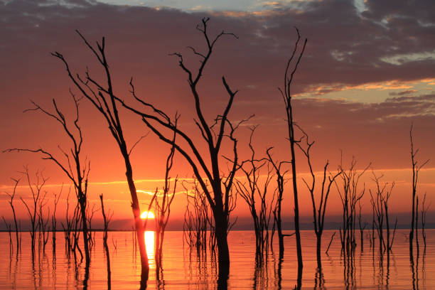 istock Amazing Sunset at Lake Kariba - Zimbabwe 894536230