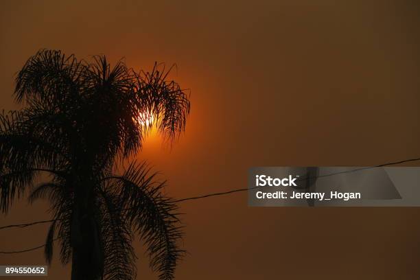 Smoke From The Thomas Fire Turns The Sun Red Behind A Palm Tree At La Conceit In Ventura California Stock Photo - Download Image Now
