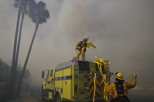 Firefighters in La Faria, California unfurl firehoses to put out flames in a palm tree above a beach house as the Thomas Fire roars through the area.