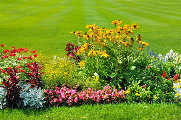 istock Summer flower bed and green lawn. 894555994