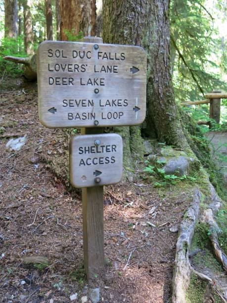 istock Sol Duc Falls Lovers Lane Trail Sign, Olympic National Park 894567456