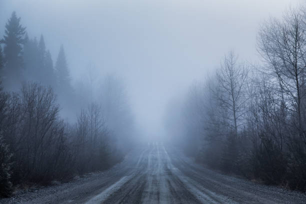 spooky туман и плохая видимость на сельской дороге в лесу - road autumn highway rain стоковые фото и изображения