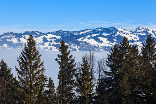 istock Swiss Alps in winter 894574074