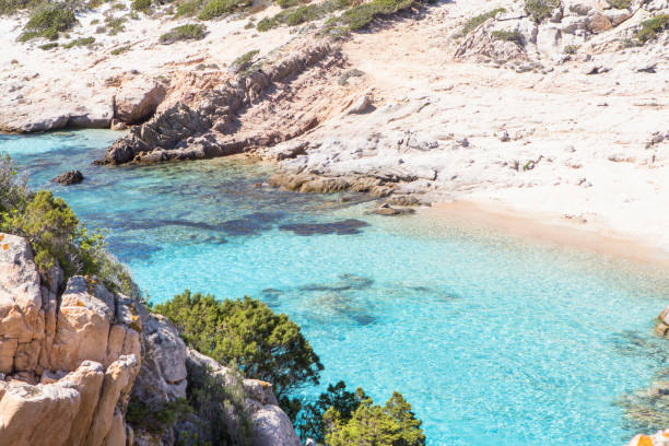 istock Cala Corsara Beach, Sardinia island, Italy 894581526