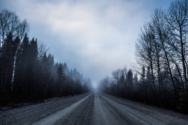 fantasmagórico neblina e má visibilidade em uma estrada rural na floresta - rain snow sun beauty - fotografias e filmes do acervo