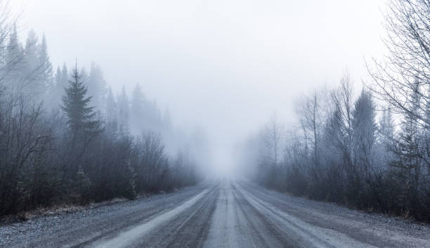 spooky fog and bad visibility on a rural road in forest - rain snow sun beauty imagens e fotografias de stock