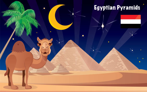 illustrazioni stock, clip art, cartoni animati e icone di tendenza di piramidi egiziane - sphinx night pyramid cairo