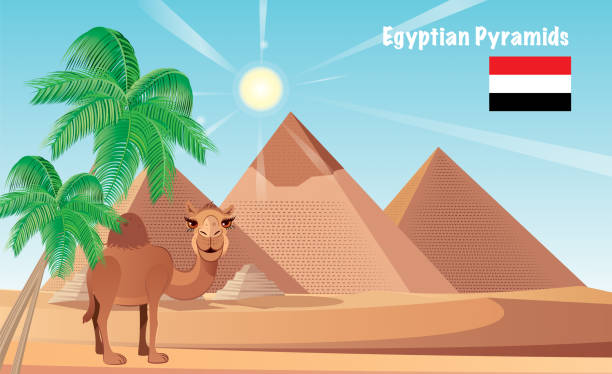 египетские пирамиды - egypt pyramid cairo camel stock illustrations