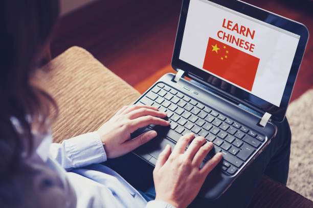 istock Female learning chinese at home with a laptop computer. 894602410