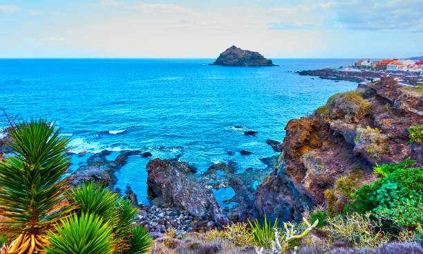 istock Rocky coast of Tenerife 894618744