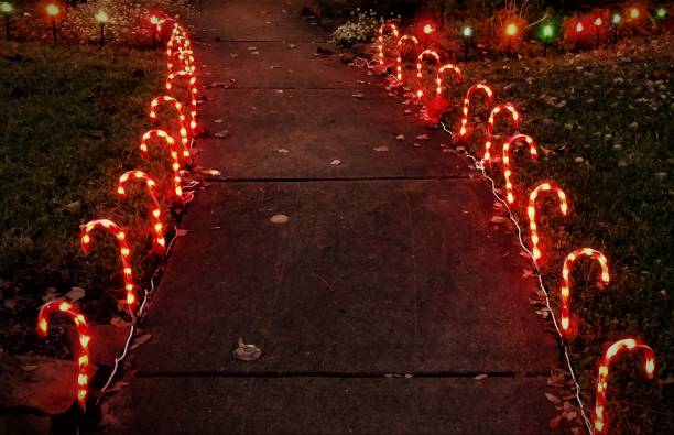 Rows of Glowing Candy Canes along a Walkway -- Night stock photo