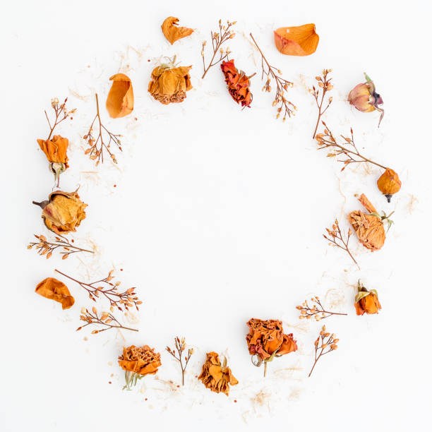 istock Round frame of roses on background. Flat lay. Top view. 894632462