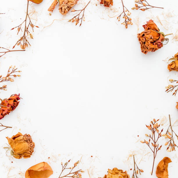 istock Round frame of roses on background. Flat lay. Top view. 894632530