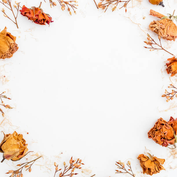 istock Round frame of flowers. Flat lay. Top view. 894632534