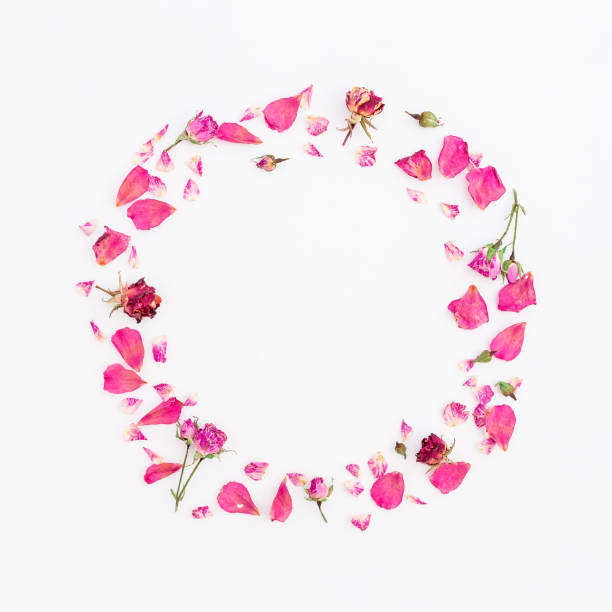 istock Round frame of flowers isolated on white background, Flat lay, Top view 894632696