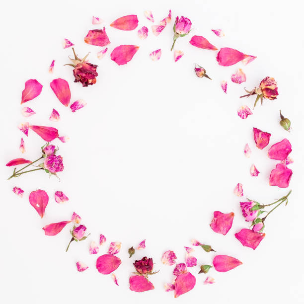 istock Flowers frame, branches isolated on white background. Flat lay, Top view 894632730