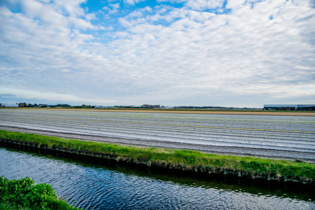 istock green landscape view with grass water and blue sky 894632794