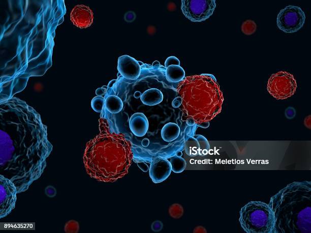 Cellule T Che Attaccano Le Cellule Tumorali - Fotografie stock e altre immagini di Cellula T - Cellula T, Recettore chimerico di antigene, Oncologia