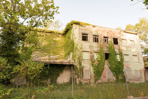 istock Abandoned houses invaded the plants 894635950