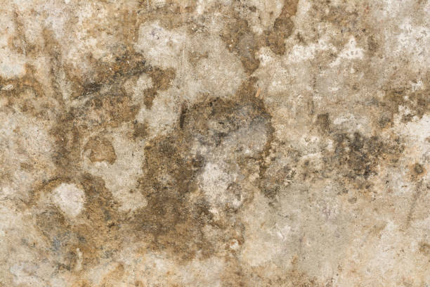 istock texture of the surface of an old antique wall with a plaster layer destroyed from moisture, a lot of cracks, blisters on the wall 894638652