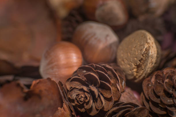 Dried petals, nuts and acorns decoration for Christmas with bokeh and in a basket
