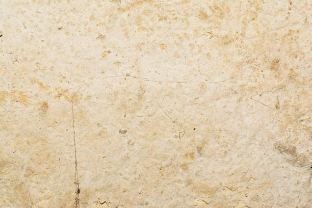 istock texture of the surface of an old antique wall with a plaster layer destroyed from moisture, a lot of cracks, blisters on the wall 894642084