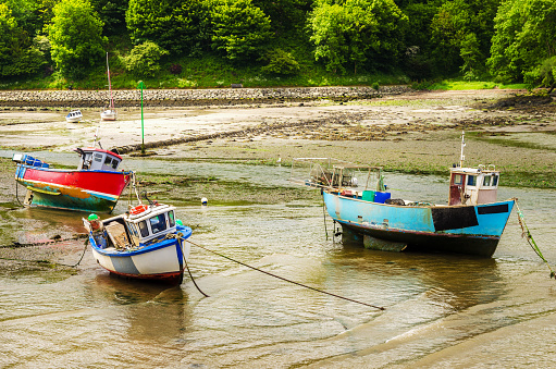 Old Colourful Fishing Boats in Harbour at Low Tide in Spring. Fishguard, Wales, UK.