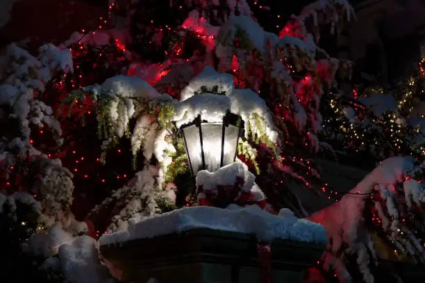 Streetlight in front of a Christmas tree, taken after a recent snowfall.