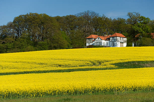 istock Beautiful half-timbered mansion behind canola field (XXL) 89465143