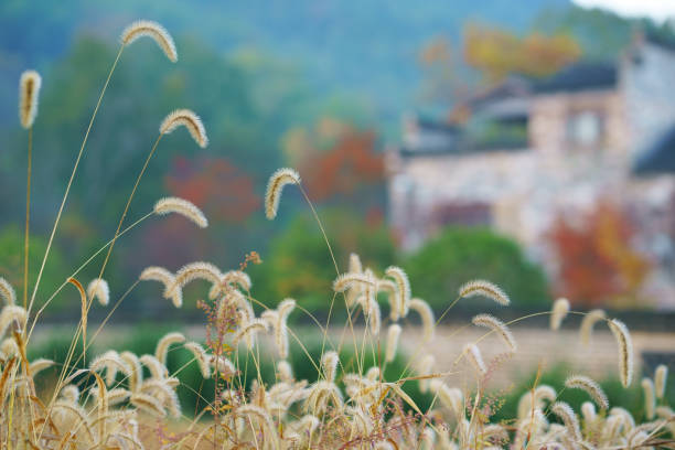 Chinese ancient villages in the autumn