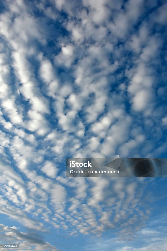 Nuvens - Foto de stock de Algodão - Malvaceae royalty-free