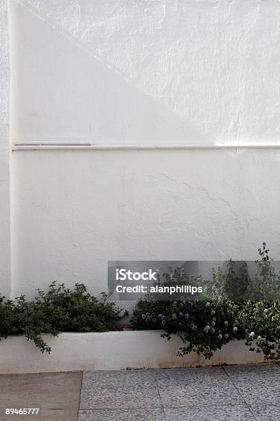 White Wall With Plants Stock Photo - Download Image Now - Bright, Color Image, Flower
