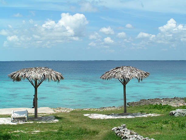 istock Bay of pigs, Cuba 89465790