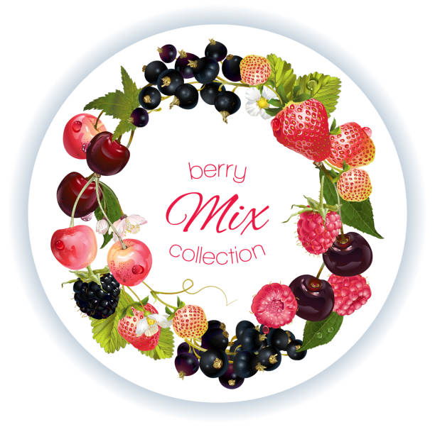 композиция ягодного микса - tea berry currant fruit stock illustrations