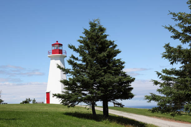 istock Lighthouse at Cape George, Antigonish County, Nova Scotia, Canada 894659538