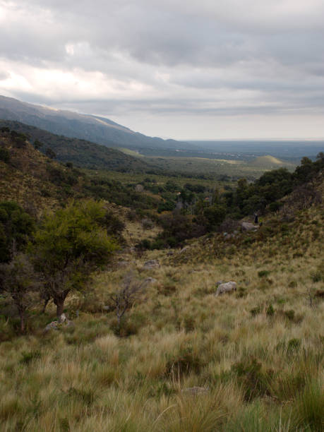 istock Mogote Bayo natural reserve 894662560