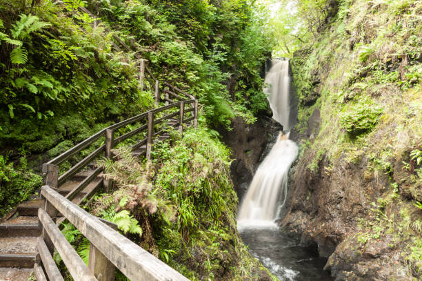 Footpath outdoor trail track with wooden fence next to a small fast flowing waterfall in a gorge in the forest. Glenariff Forest Park, Northern Ireland, UK. Footpath outdoor trail track with wooden fence next to a small fast flowing waterfall in a gorge in the forest. Glenariff Forest Park, Northern Ireland, UK. glenariff photos stock pictures, royalty-free photos & images