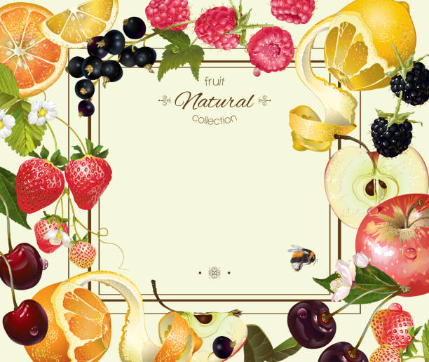 Fruit and berry frame Vector vintage fruit and berry frame. Design for vegetarian menu, tea, ice cream, juice, jam, natural cosmetics, candy and bakery with fruit filling, health care products. With place or text fruit borders stock illustrations