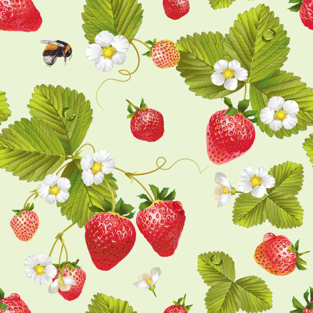 stockillustraties, clipart, cartoons en iconen met vector aardbei naadloze patroon. - strawberry
