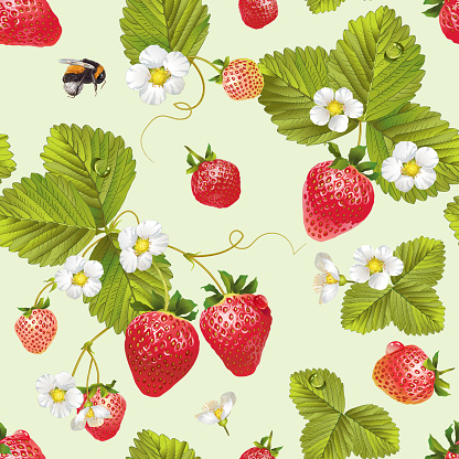 Vector strawberry seamless pattern. Background design for tea, juice, natural cosmetics, sweets and candy with strawberry filling, farmers marcet,health care products. Best for textile,wrapping paper.