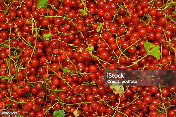 Foto de Groselha Vermelha e mais fotos de stock de Abundância - Abundância, Alimentação Saudável, Amontoamento